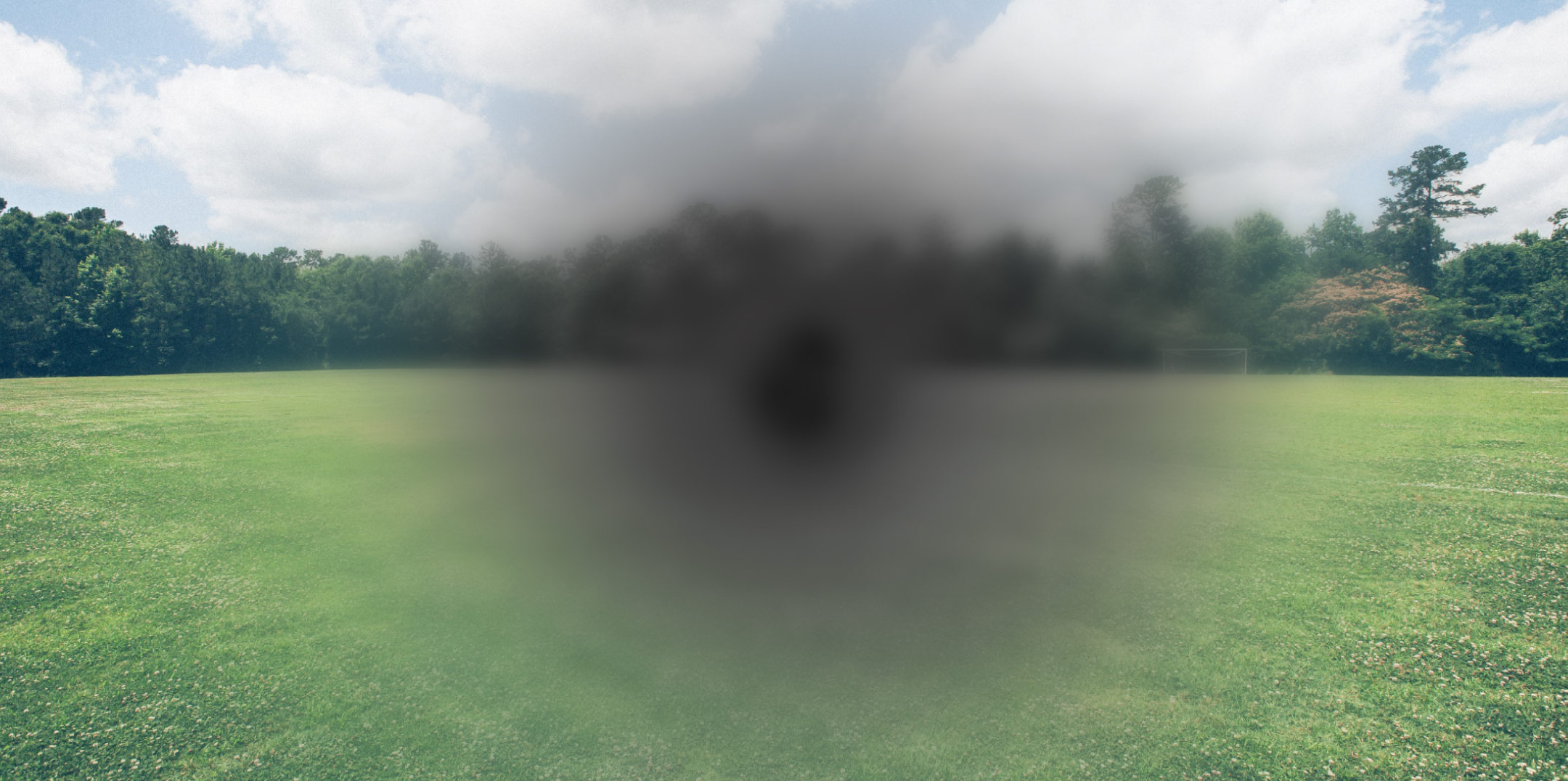 A grassy field with the center of the view blurred and darkened, simulating central vision loss from macular degeneration